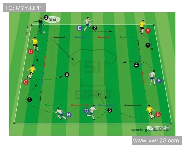 南京排球队中路突破战术与欧冠足球的完美结合探讨