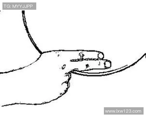 运动飞盘新手必看全面入门指南助你快速掌握技巧与速度提升