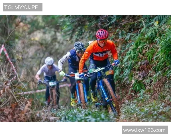 运动数据南京极限运动队协作策略研究与实践探索 运动数据南京极限运动队协作策略研究与实践探索