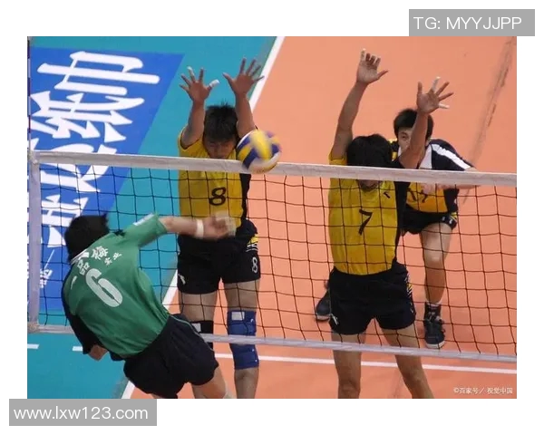 运动数据排球精神力量深入分析广州排球队的心理素质与竞技表现